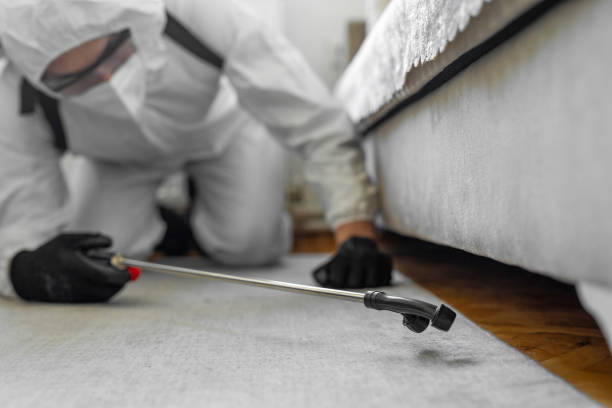 Professional Ant Control technician working in Kincheloe, MI