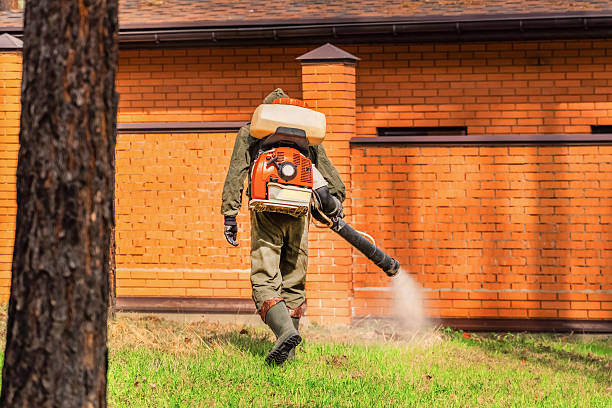 Trusted Mosquito Control service in Kincheloe, MI - Nex Pest Control